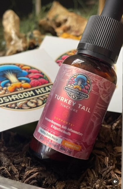 Turkey Tail Mushroom Tinctures